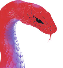 Fototapeta premium PNG Chinese snake new year background frame illustration reptile red.