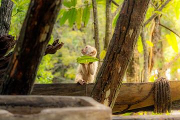 the heart of Canaima National Park 