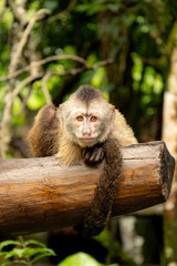 the heart of Canaima National Park 