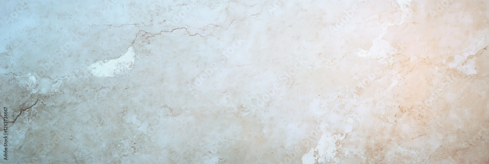 Poster elegant stone shell beige wall showcasing intricate textures and subtle grunge patterns