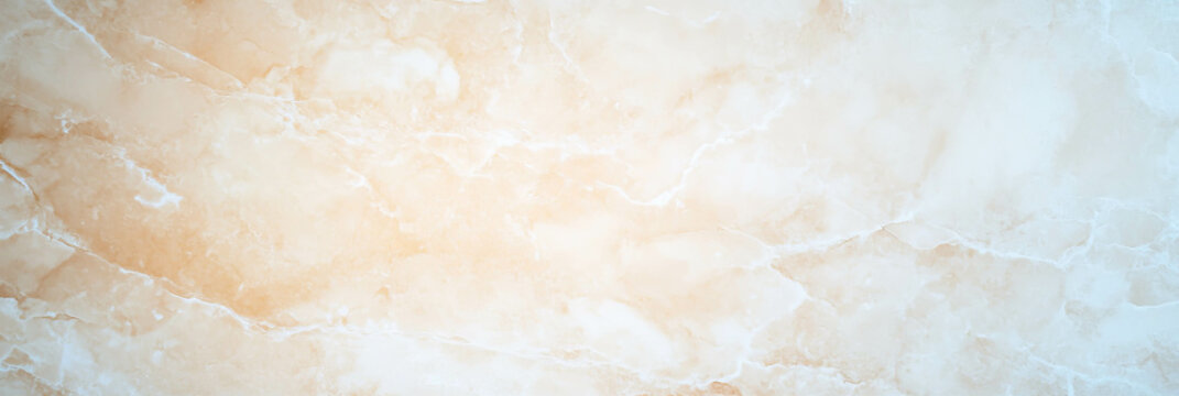 Elegant beige stone shell wall with intricate texture and soft grunge details
