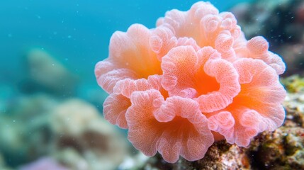Naklejka premium Pink coral reef underwater ocean scene