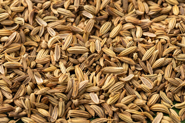 Heap of Foeniculum vulgare - Aromatherapy and natural medicine.