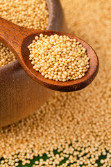 Amaranthus - Amaranth seeds in the bowl and spoon. Healthy food.