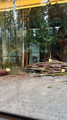 Pile of freshly cut logs in forest clearing, viewed through window with reflections of interior lights and trees in background. High quality photo