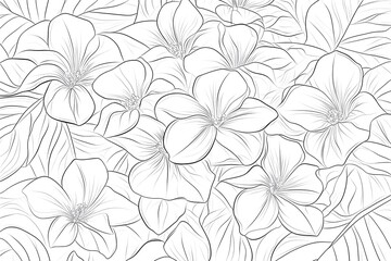 Blooming Flowers: Line Art Petals, Delicate, White