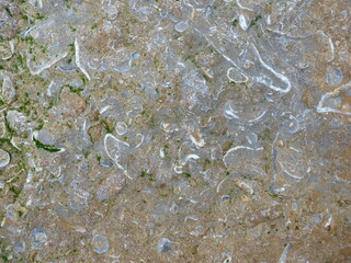 Falaise des Vaches Noires, Houlgate, Normandie