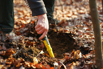 Man with small metal detector in forest