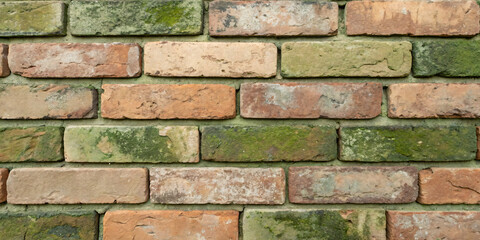 Fototapeta premium Authentic reclaimed brick texture with uneven, aged bricks, hints of green moss, and weathered surfaces