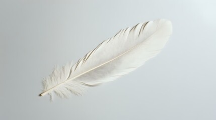 Obraz premium Single white feather on light gray background, soft and delicate texture with detailed barbs and rachis, isolated object for creative design projects.
