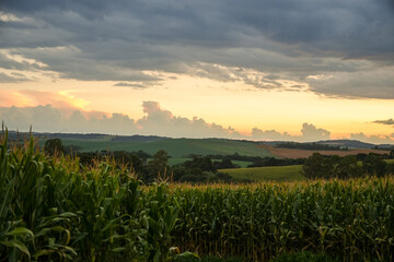 sunrise over the field