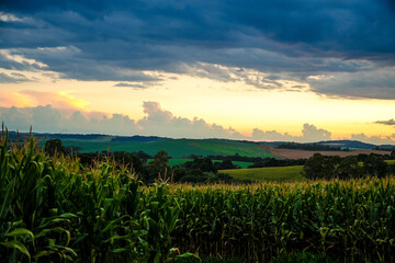 sunset over the field
