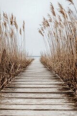 Serene Wooden Pathway Leading to the Ocean Through Golden Reeds