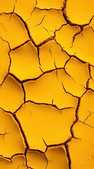 Dry cracked earth reveals a textured landscape in vivid yellow tones during the warm afternoon light