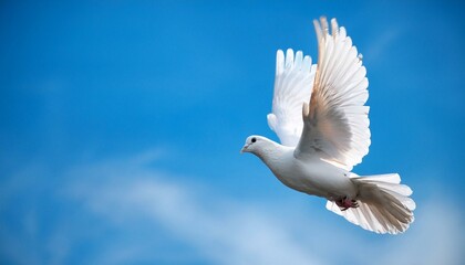 Fototapeta premium White dove flying on blue sky. Peace concept