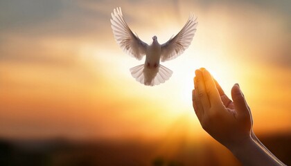 Fototapeta premium Praying hands and white dove flying happily on blurred background with sunset , hope and freedom concept. 
