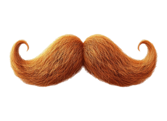 Fur-Like Mustache Illustration on Transparent Background