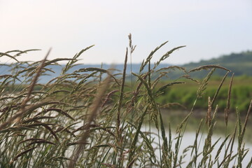 The Qu'Appelle River area scenery