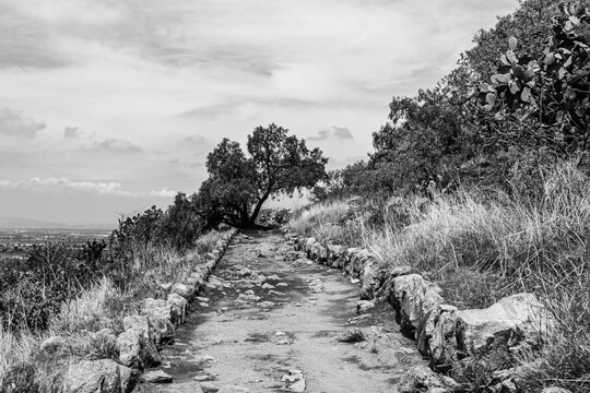 path in the mountains