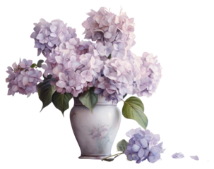 PNG Close up on pale puple hydrangea in vase blossom flower lilac.