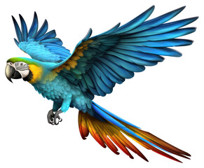 Fototapeta premium PNG Parrot animal flying bird.