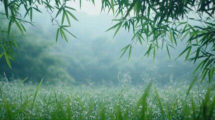 Naklejka premium Dewdrops on Grass Blades Under Bamboo Leaves