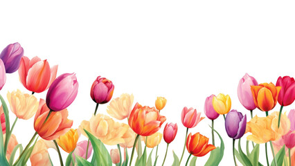 PNG Outdoors flower nature tulip.