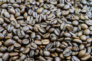 A close up of coffee beans with a lot of them in the foreground