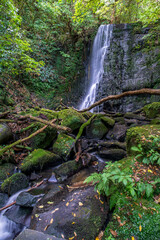 Hiking through the forest and several waterfalls in the Catlins lush native bush