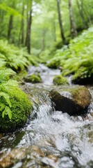 Forest stream flowing over moss-covered rocks