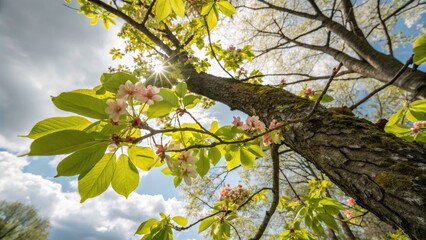 Fototapeta premium Captivating Spring Trees: Natureâ€™s Revival with Blossoming Buds, Fresh Green Leaves, and Vibrant Floral Colors in a Serene Landscape