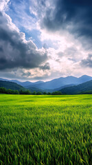 Obraz premium This stunning landscape features vibrant green fields set against a backdrop of majestic mountains and dramatic clouds, showcasing the beauty of nature's serene and dynamic elements.
