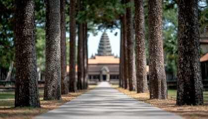 Obraz premium A serene pathway lined with tall trees leads to a temple, creating a peaceful and inviting atmosphere for visitors.