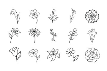 Flower line art vector illustration 3