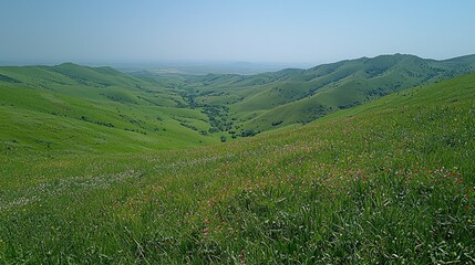 Lush Green Valley with Rolling Hills and Wildflowers Under Clear Blue Sky