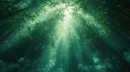 Sunlight filtering through a dense bamboo forest, creating a serene and mystical atmosphere