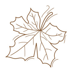 Hand drawn brown maple leaf line art