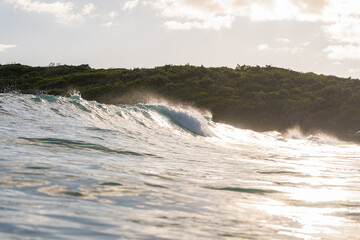 Fototapeta premium A wave crashes near the lush coastline of Vieques, Puerto Rico, as the sunset light reflects off the ocean surface.