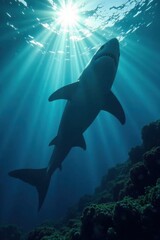 Humongous shark silhouette in the ocean, ocean scene, predator, marine life