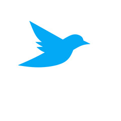 bird illustration 