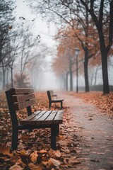 Fototapeta premium Serene Autumn Path: A solitary bench sits on a misty path lined with fallen leaves, inviting contemplation and introspection in the ethereal beauty of an autumnal park. 