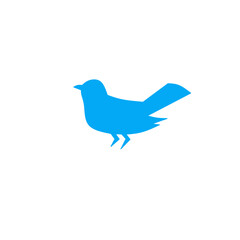 bird illustration 