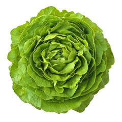 Fototapeta premium Fresh Green Lettuce Head on White Background with Textured Leaves and Curved Shape