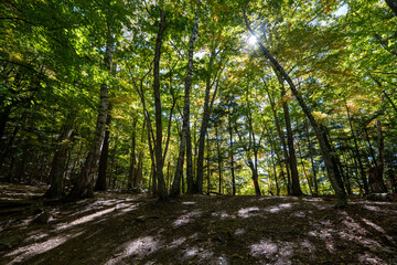 Mt. Mizugaki, Takamiiwa and surrounding views