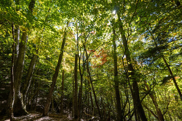 Mt. Mizugaki, Takamiiwa and surrounding views