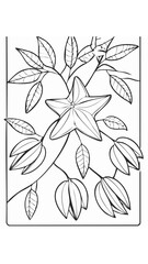 Carambola Star Fruit Food Meal Healthy Coloring Kid Book Page in Black and White. Monochrome and Colored Samples
