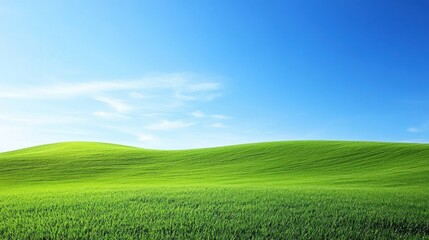 Naklejka premium Sunny green field landscape, rolling hills, blue sky, clouds, nature background, idyllic