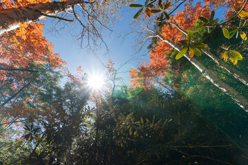 Mt. Mizugaki, Takamiiwa and surrounding views