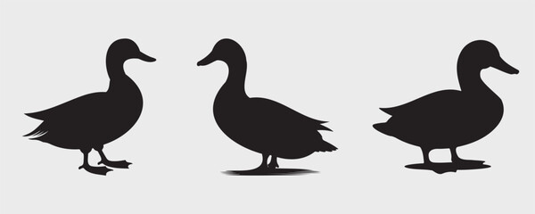 Silhouette illustrations of three ducks in various poses, showcasing simple, minimalist shapes. Ideal for nature, wildlife, or graphic design projects