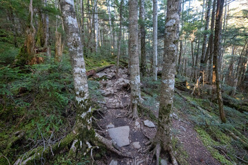 Mt. Mizugaki, Takamiiwa and surrounding views
